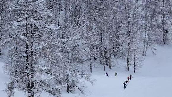 河南低温雨雪冰冻灾害应急指挥部办公室发布通知